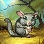 Le chinchilla arrive dans my free zoo