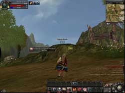 copie d'écran de 9 Dragons