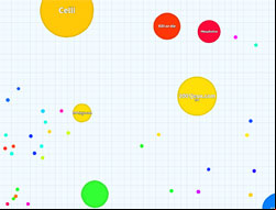 copie d'écran de Agario