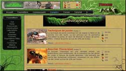 copie d'écran de Fourmizzz