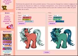 copie d'écran de Poney Vallee